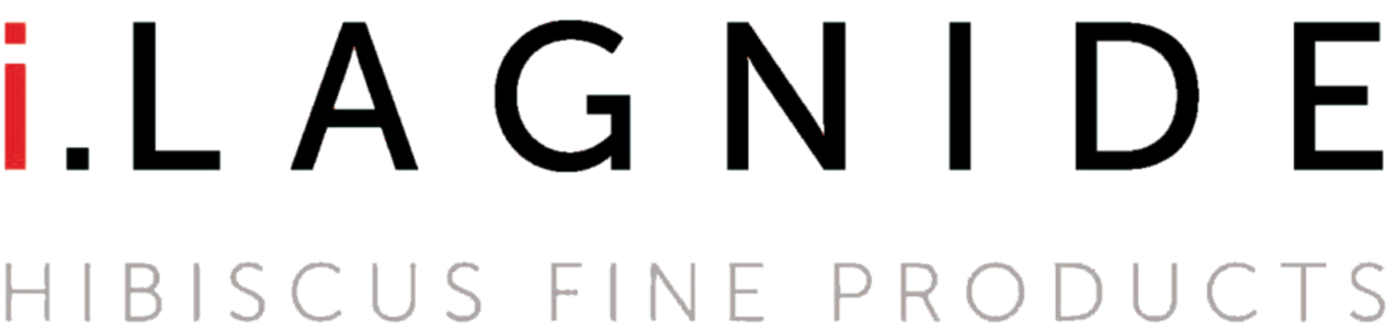 Logo iLagnide