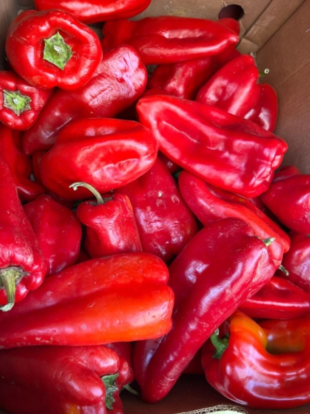 Image 1 : Epicerie à Luxembourg : Epicerie Dracula