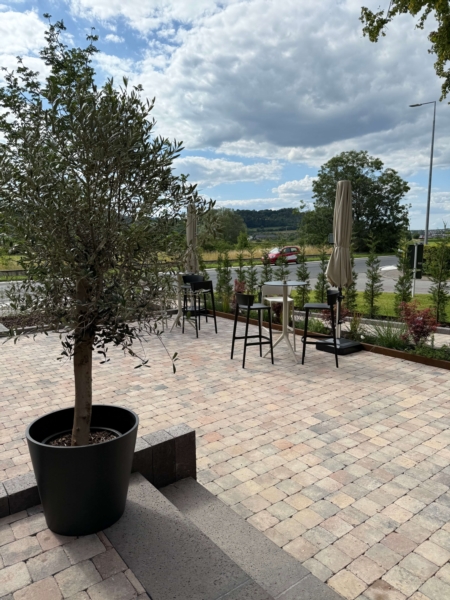 Image 6 : Vin à Lintgen : Caves au Porto Roi - MP