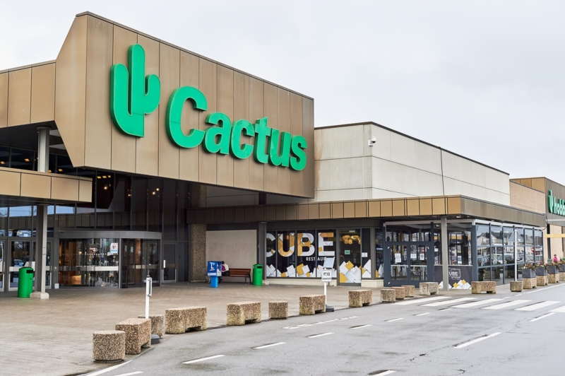 Image 5 : Supermarché à Bertrange : Cactus