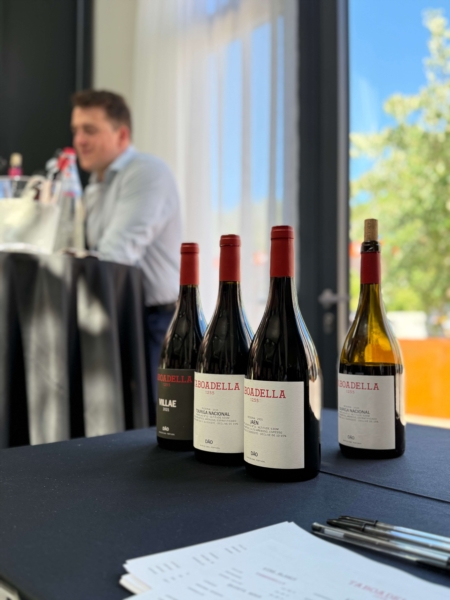 Image 8 : Vin à Lintgen : Caves au Porto Roi - MP