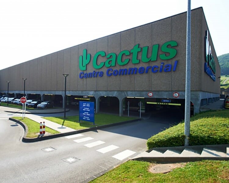 Image 1 : Supermarché à Ingeldorf : Cactus