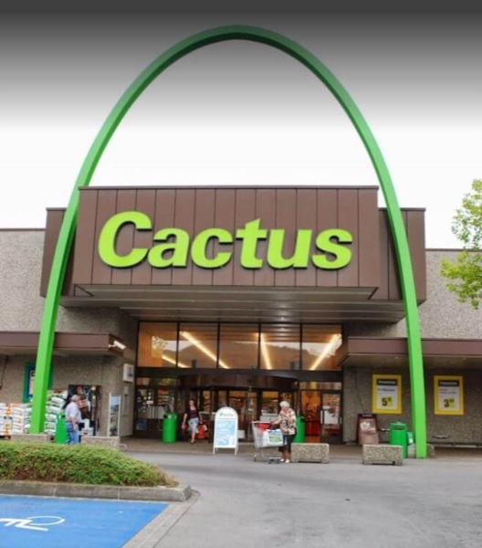 Image 1 : Supermarché à Bereldange : Cactus