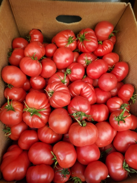 Image 6 : Epicerie à Luxembourg : Epicerie Dracula