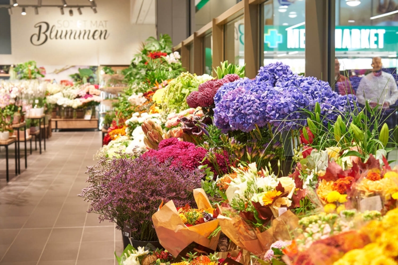 Image 10 : Supermarché à Esch-sur-Alzette : Cactus