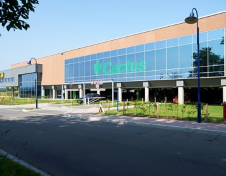 Image 4 : Supermarché à Redange-sur-Attert : Cactus