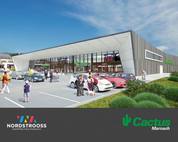 Image 3 : Supermarché à Marnach : Cactus