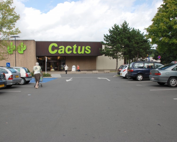 Image 4 : Supermarché à Pétange : Cactus