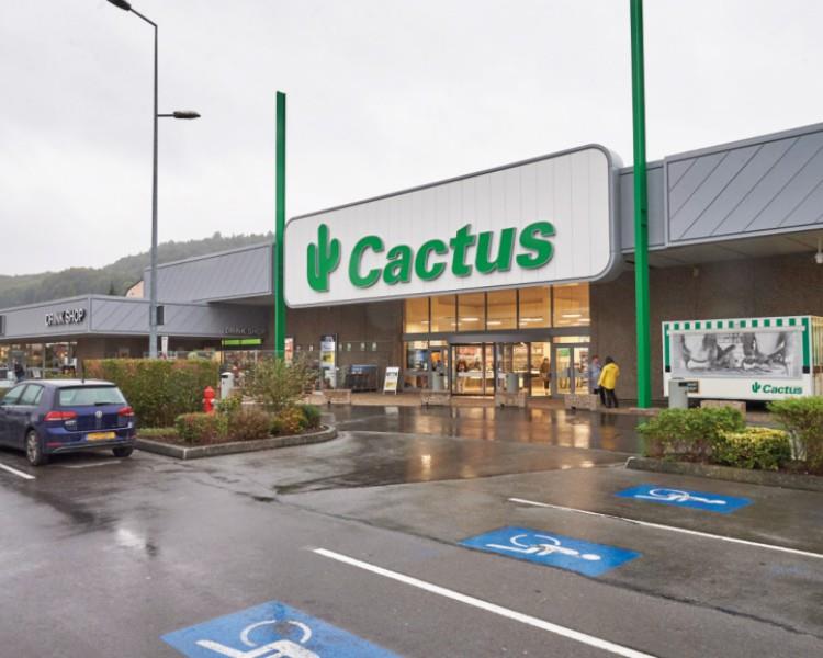 Image 4 : Supermarché à Tétange : Cactus