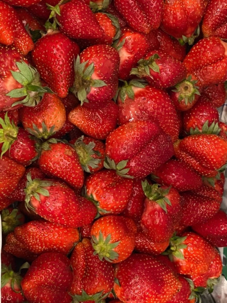 Image 7 : Epicerie à Luxembourg : Epicerie Dracula