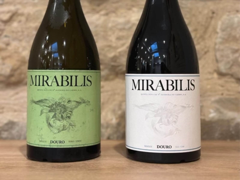 Image 17 : Vin à Lintgen : Caves au Porto Roi - MP