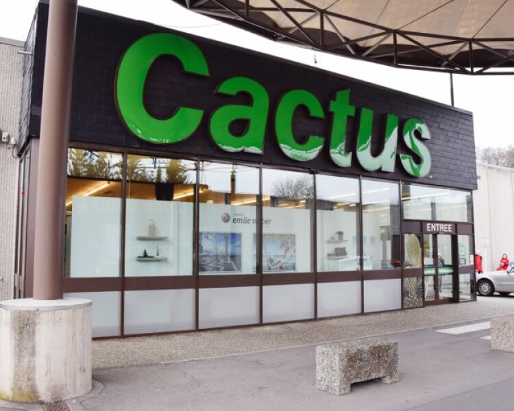 Image 4 : Supermarché à Remich : Cactus