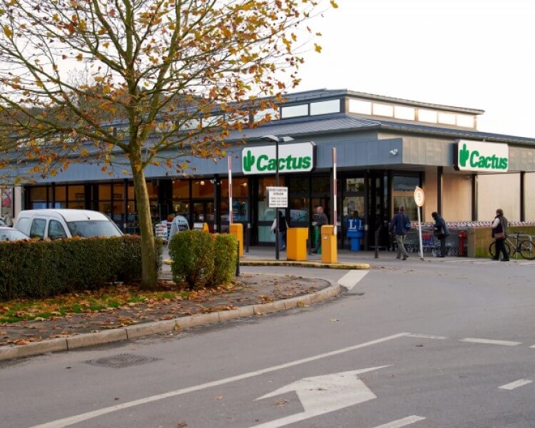 Image 4 : Supermarché à Echternach : Cactus